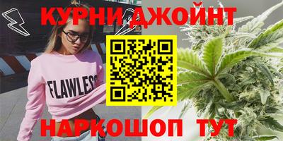 сатива Новодвинск