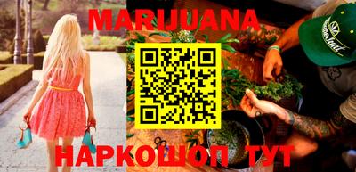 сатива Новодвинск