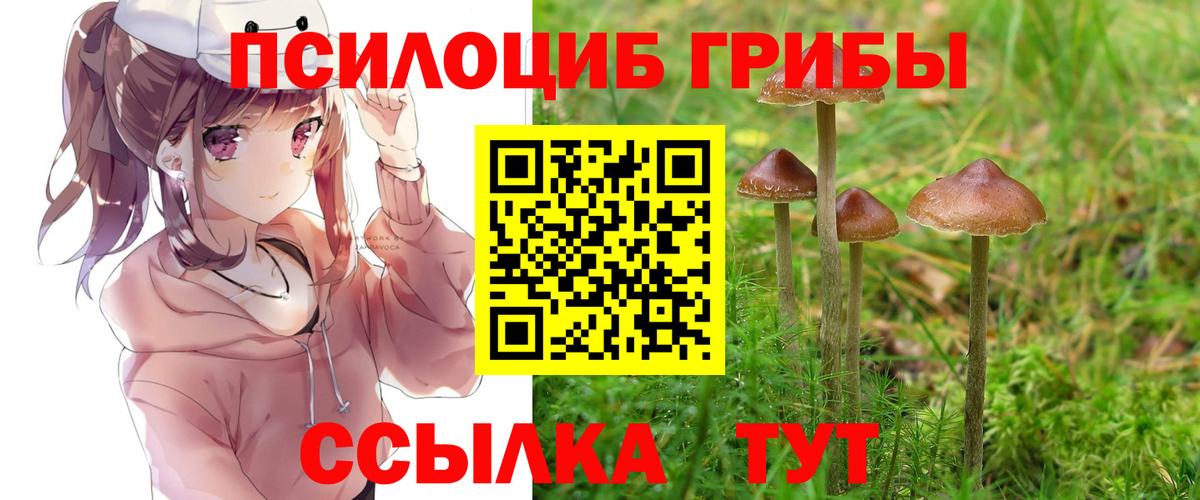 Псилоцибиновые грибы мицелий Семёнов